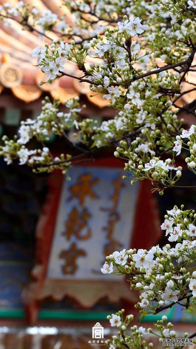 清明节“云游”紫禁城，故宫首开直播，首场即受百万网友追捧