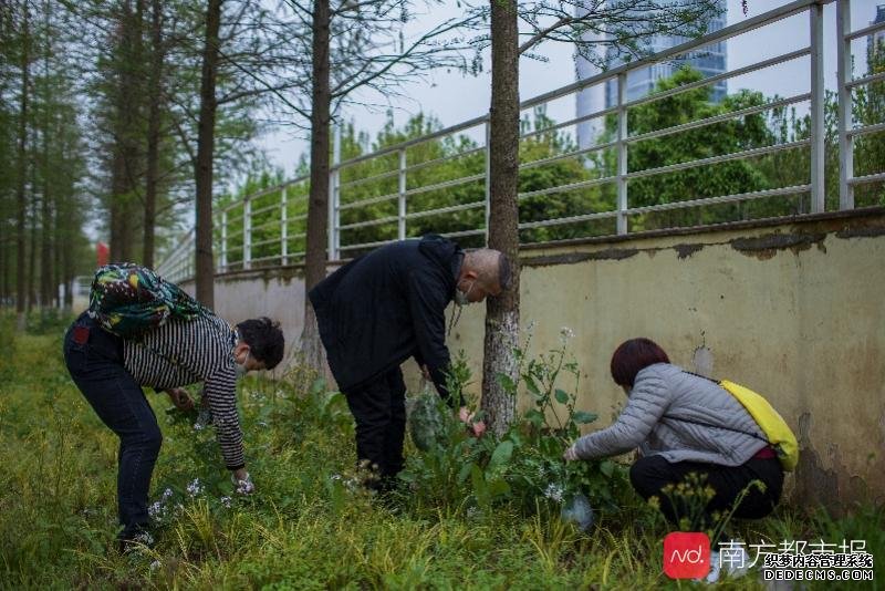 依然武汉：冬去春来，山河无恙，人间皆安